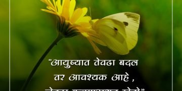 रंगबिरंगी फुलपाखरांवर काही सुंदर कोट्स