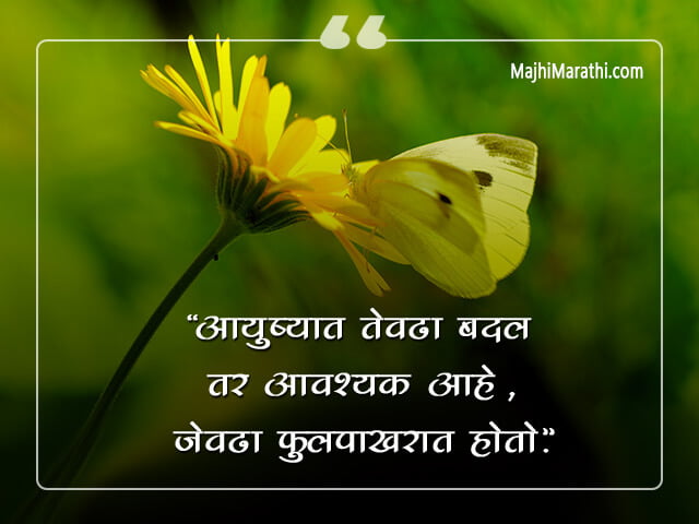 रंगबिरंगी फुलपाखरांवर काही सुंदर कोट्स