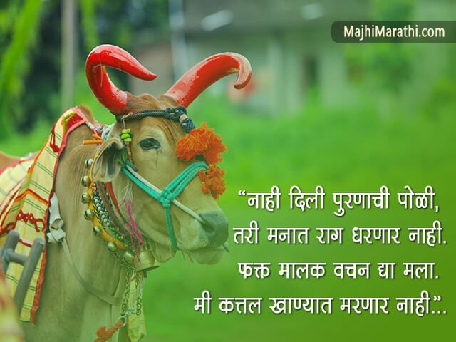 बैल पोळा स्टेटस