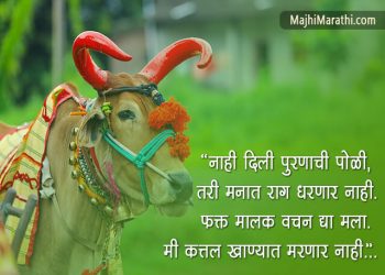 Bail Pola Wishes in Marathi