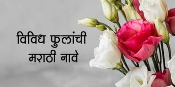 विविध फुलांची मराठी नावे