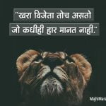 Lion Status in Marathi