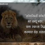 Lion Status