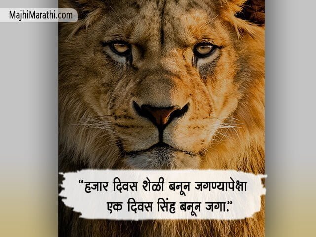 Lion Attitude Status - Majhi Marathi
