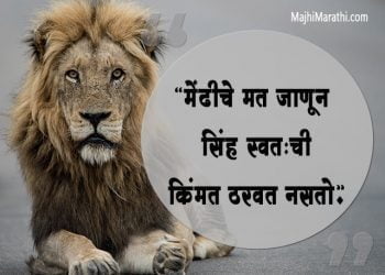 सिंहासारखे धैर्यवान राहण्यासाठी सिंहाविषयी जबरदस्त कोट्स