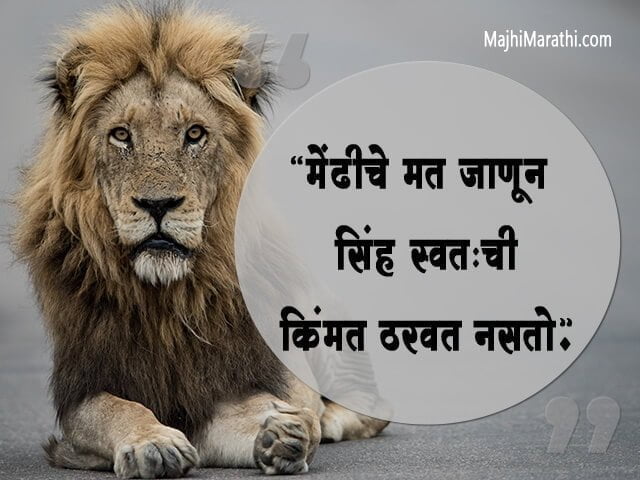 सिंहासारखे धैर्यवान राहण्यासाठी सिंहाविषयी जबरदस्त कोट्स