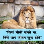 Lion Quotations