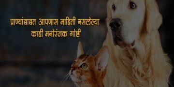 Amazing Facts about Animals