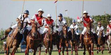 Polo Information in Marathi