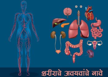शरीराचे अवयवांचे नावे
