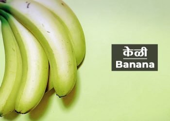केळी या फळाची माहिती मराठी
