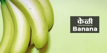 केळी या फळाची माहिती मराठी