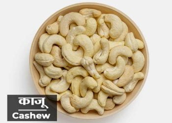 Cashew Tree Information in Marathi