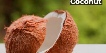 नारळाच्या झाडाविषयी माहिती मराठी