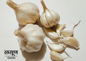 Garlic Benefits in Marathi