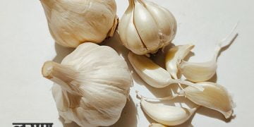 Garlic Benefits in Marathi