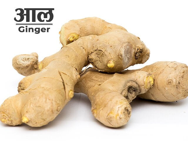 Ginger Information in Marathi