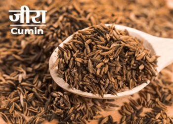 Jeera Benefits in Marathi