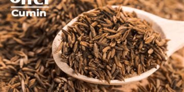 Jeera Benefits in Marathi