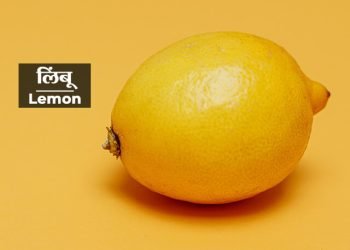 लिंबू ची संपूर्ण माहिती