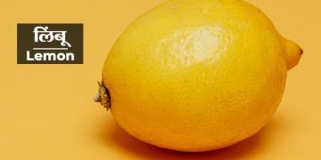 लिंबू ची संपूर्ण माहिती