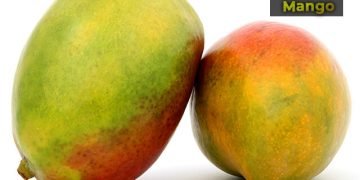 आंबा फळाची माहिती मराठी