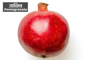Pomegranate Information in Marathi