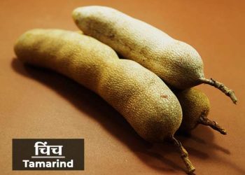 Tamarind Information in Marathi