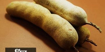 Tamarind Information in Marathi