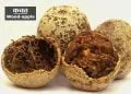 Wood Apple in Marathi