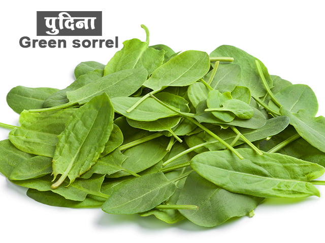 Ambat Chuka in Marathi