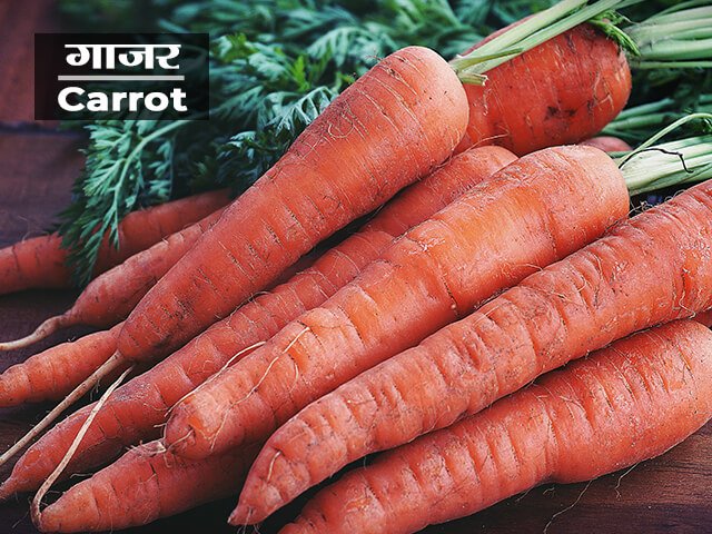Carrot Information in Marathi