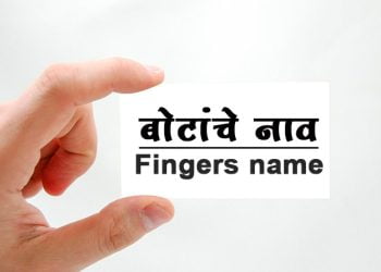 बोटांचे मराठी नाव