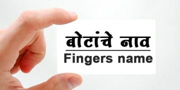 बोटांचे मराठी नाव