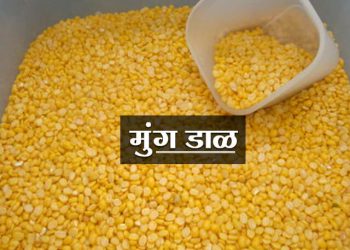 Moong Dal Information in Marathi