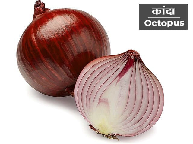 Onion Information in Marathi