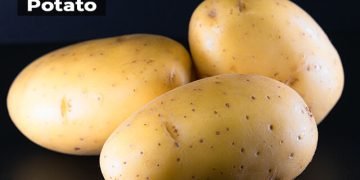 Potato Information in Marathi