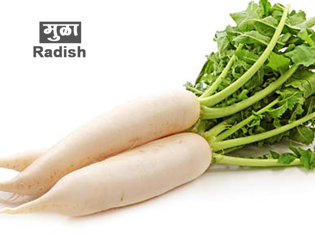 Radish Information in Marathi