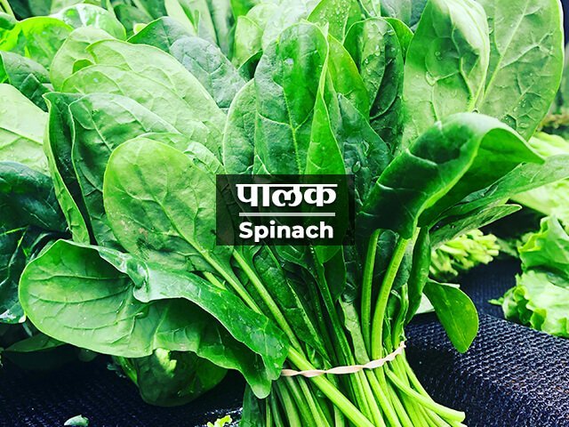 Spinach Information in Marathi