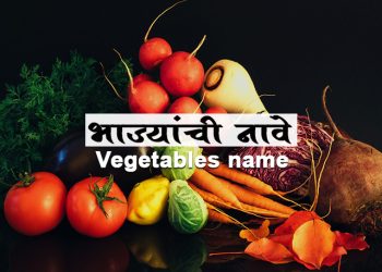 भाज्यांची नावे मराठीत